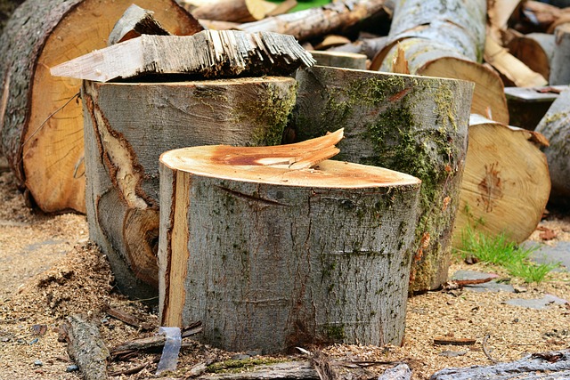 Opgrader din træbearbejdning med Metabos professionelle tykkelseshøvle